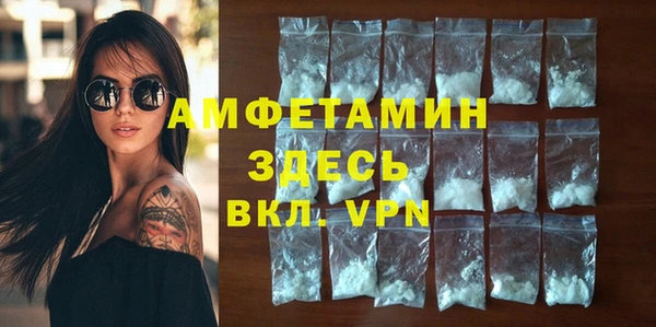 стаф Алексин