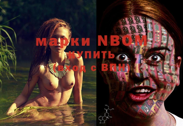 стаф Алексин