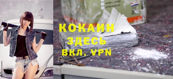 стаф Алексин