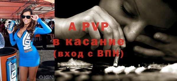 стаф Алексин