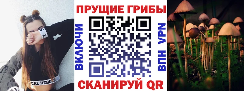 купить наркотики сайты  Устюжна  Галлюциногенные грибы мухоморы 